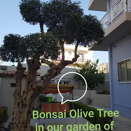 Hotel Sonia Hotel&suites